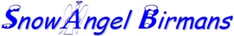 www.snowangelbirmans.com Logo